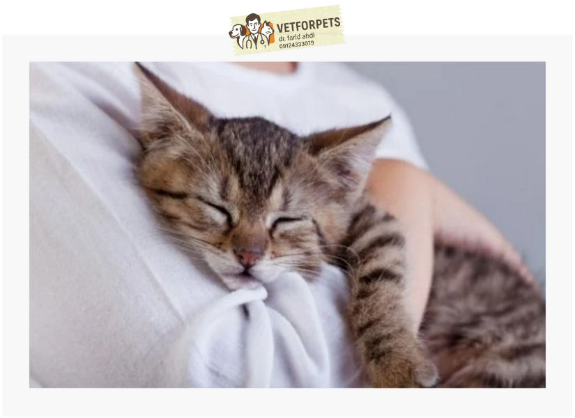 خرخر گربه هنگام به درآغوش گرفتن