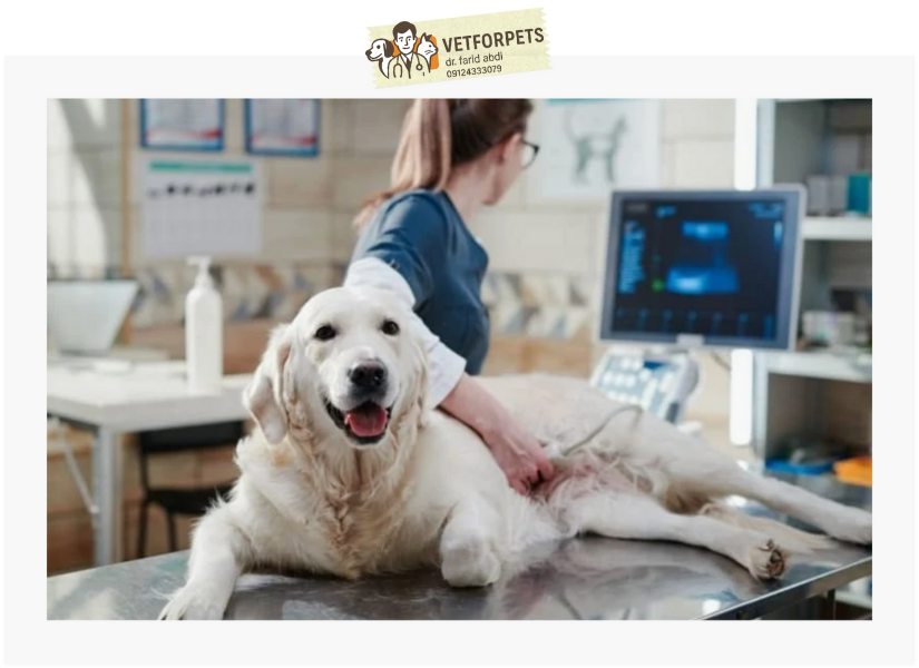 سونوگرافی تنها راه تشخیص حاملگی کاذب