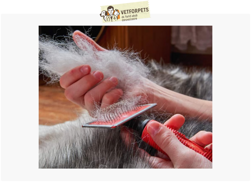 ریزش موی سگ 