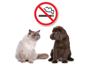 مضرات دود سیگار برای حیوانات