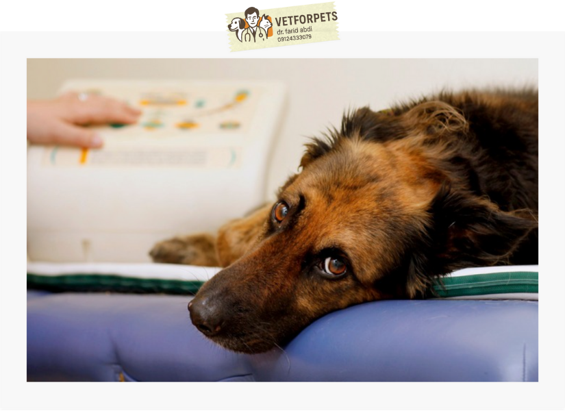 بیماری های ناشی از دود سیگار