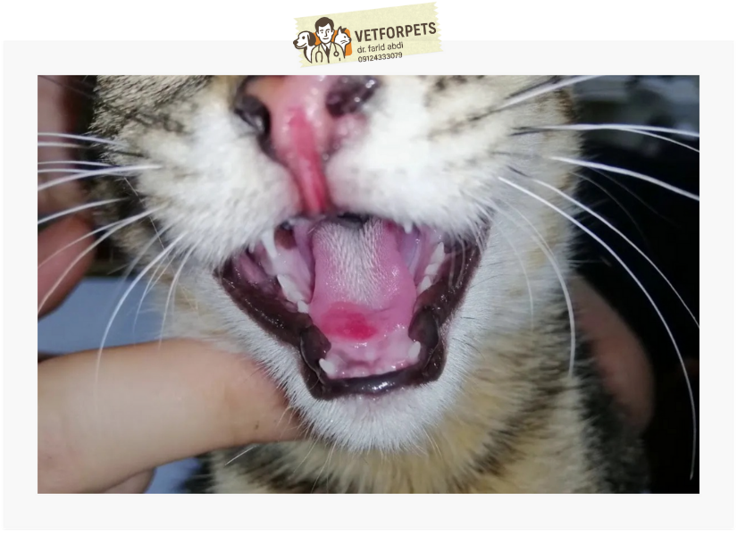 زخم شدن زبان در بیماری کلسی